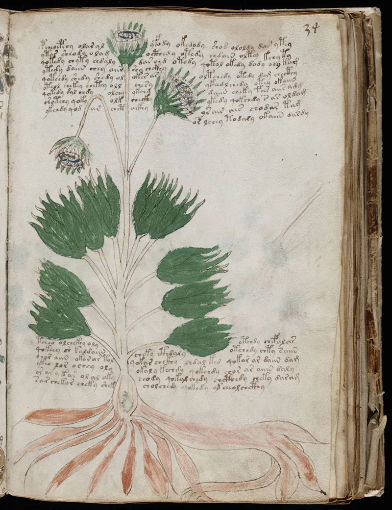 The Voynich Manuscript – A Centuries-Old Riddle in Printing